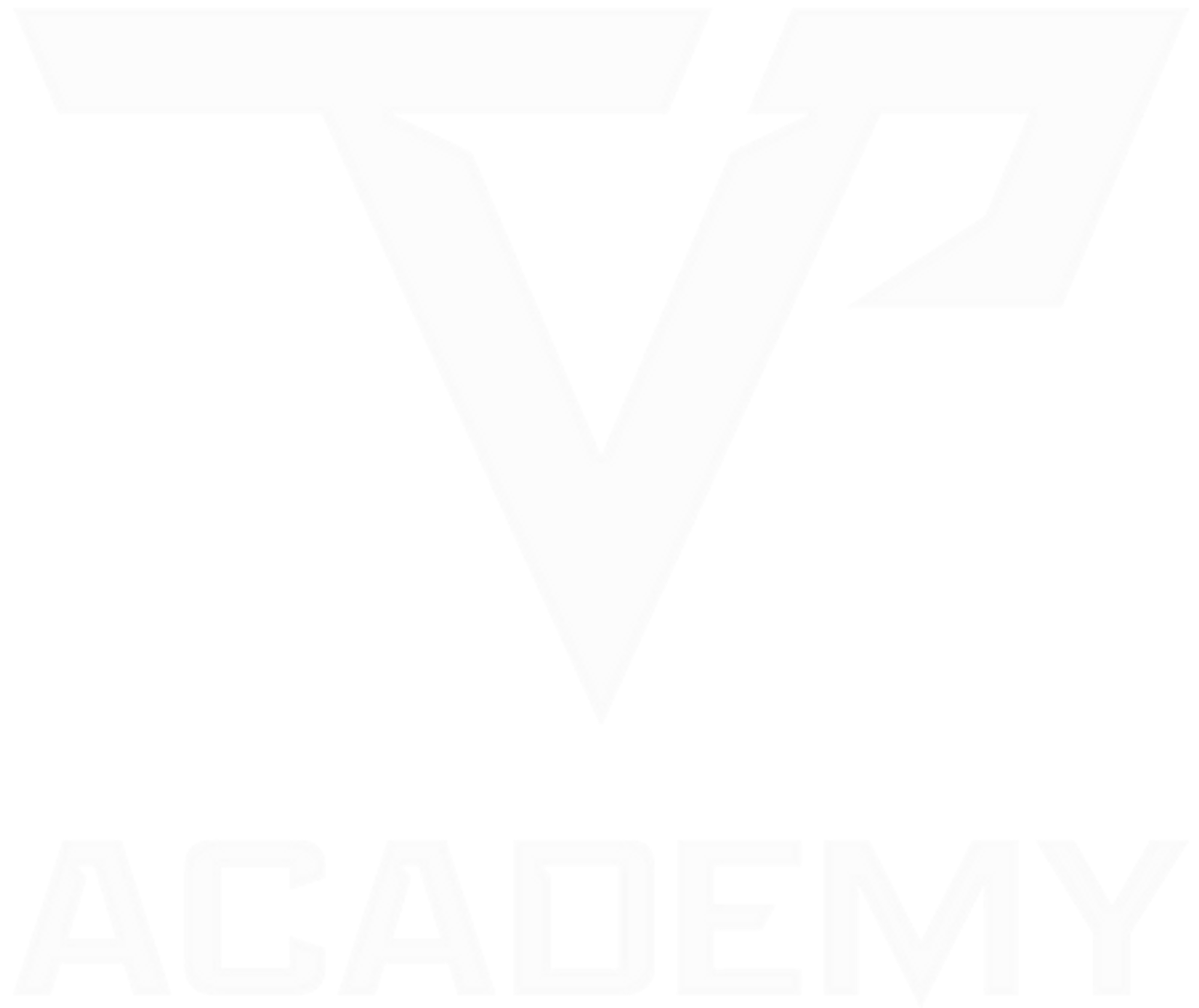 TVP Academy  | TVP Basketball  Logo